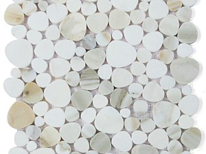 Aphrodite Calacatta Gold Polished 12 x 12 Polished or Honed